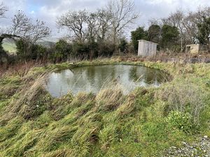 Photo 5- click for photo gallery